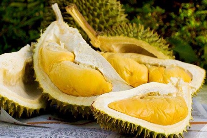 sầu riêng