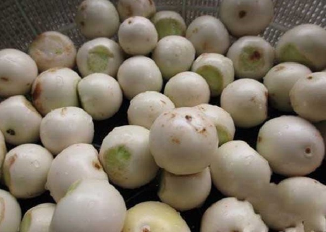 sơ chế cà pháo