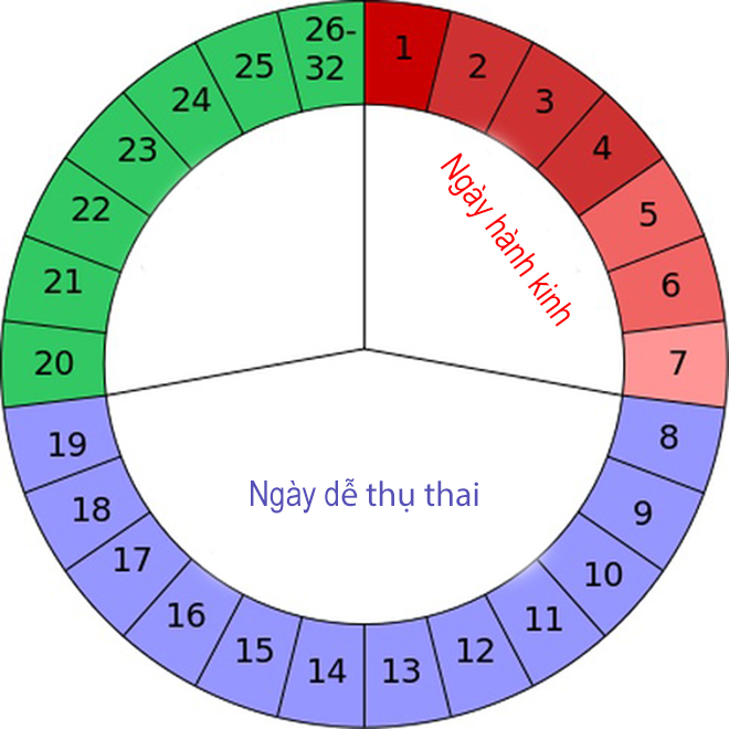 Ngày dễ thụ thai