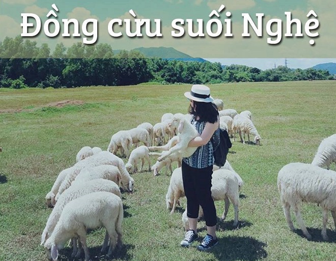 đồng cừu