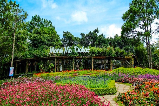 đồi mộng mơ