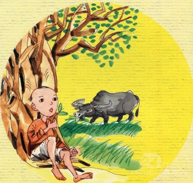 chú cuội