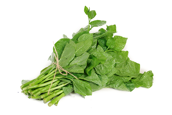 Rau mồng tơi