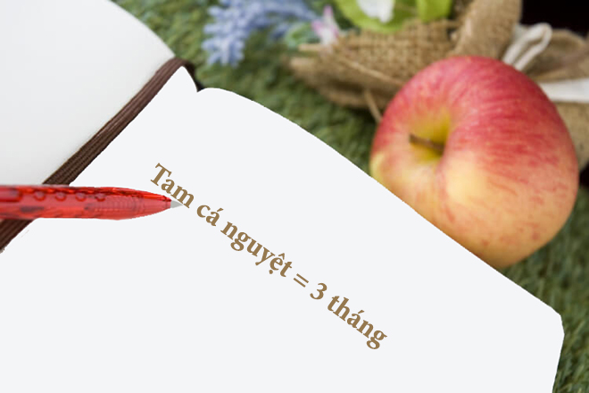 Tam cá nguyệt là 3 tháng