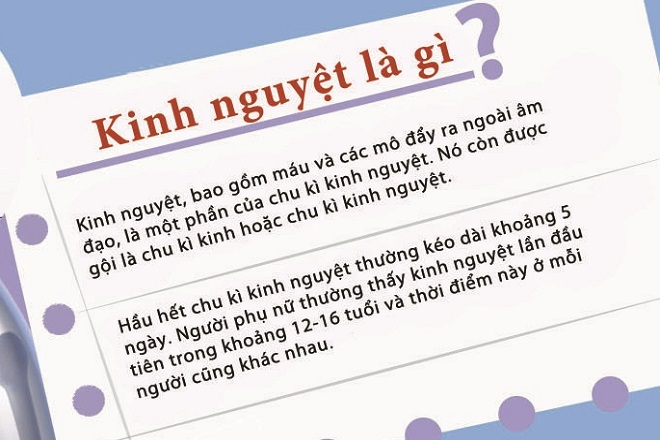 ngày kinh nguyệt