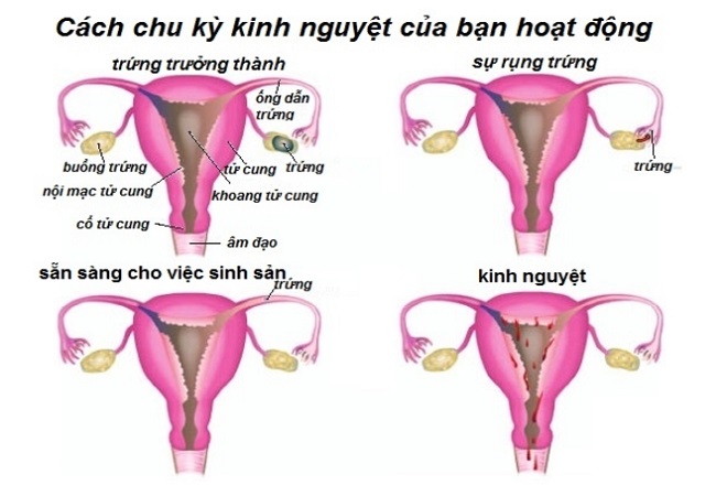 vòng kinh
