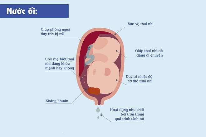 tác dụng của nước ối