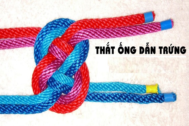 triệt sản