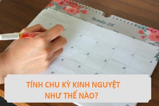 tính chu kỳ kinh