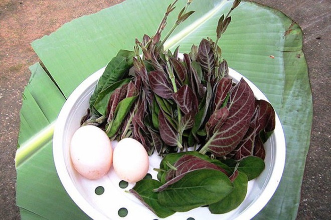 bài thuốc đông y