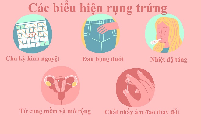 Các biểu hiện rụng trứng