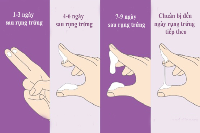 Tính nhất quán của chất nhầy thay đổi