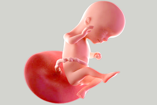 Con có thể nghe tiếng mẹ
