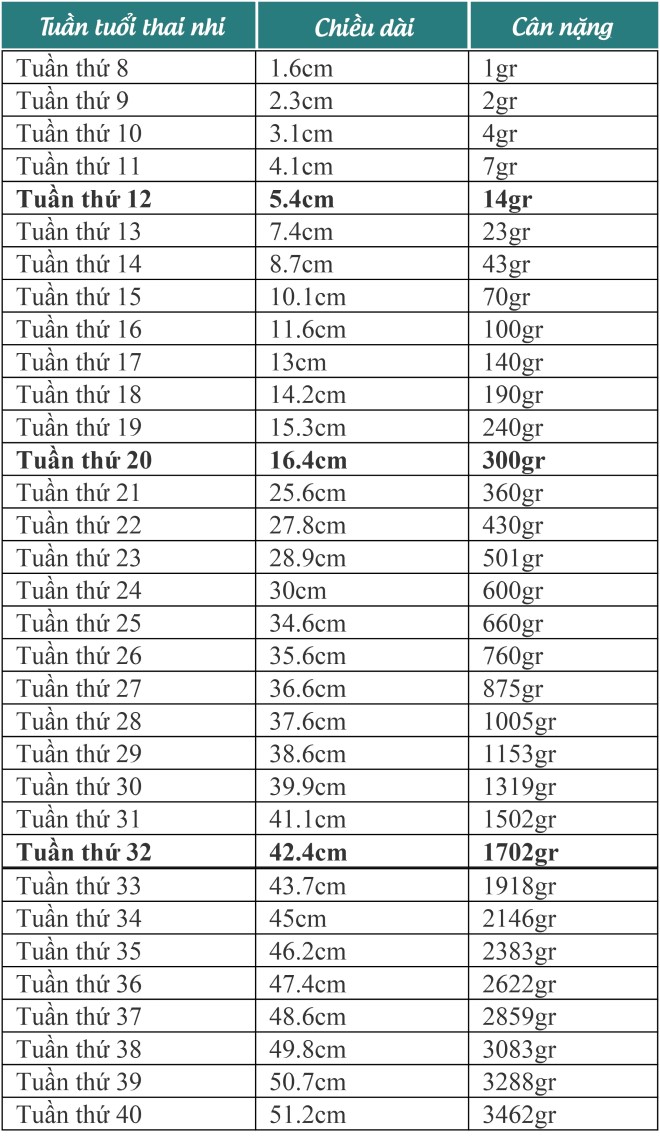 Bảng cân nặng thai nhi theo tuần tuổi để mẹ bầu tham khảo