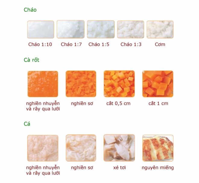 Mức độ thô của thức ăn dặm cho trẻ qua từng giai đoạn
