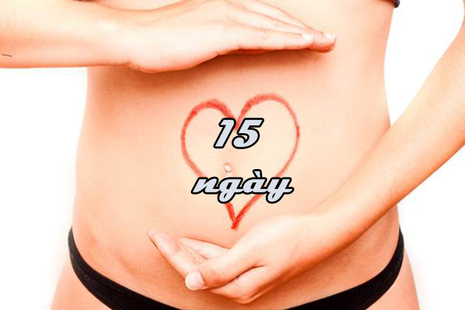 15 ngày trứng thụ tinh cấy vào niêm mạc