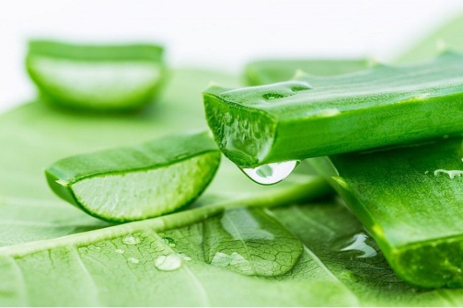 Cách trị mụn cám bằng nha đam
