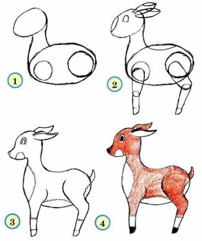 Cách vẽ hình chú nai nhỏ