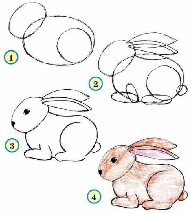 Cách vẽ hình chú thỏ