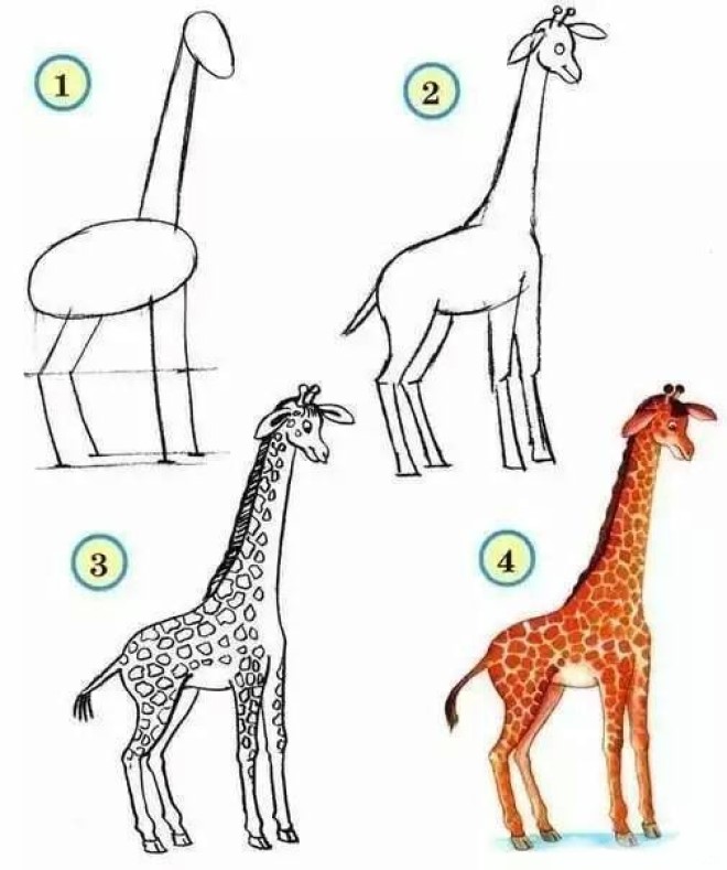Cách vẽ hình hưu cao cổ