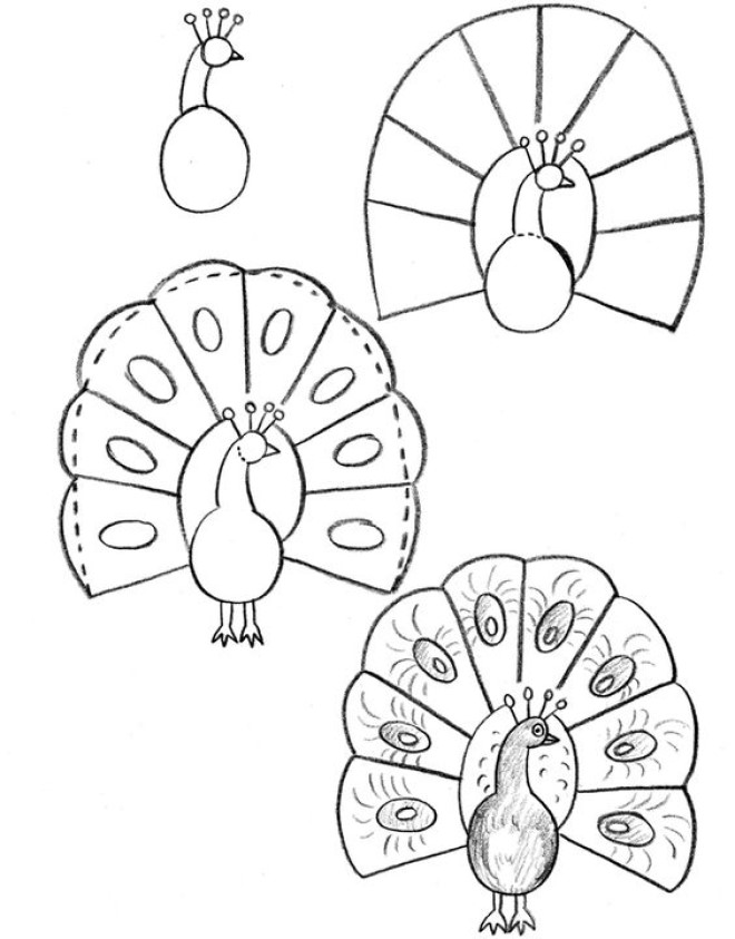 Vẽ hình con công xinh đẹp