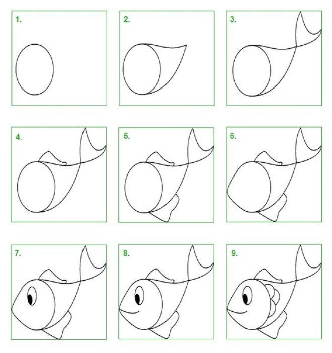 Cách vẽ hình con cá 4