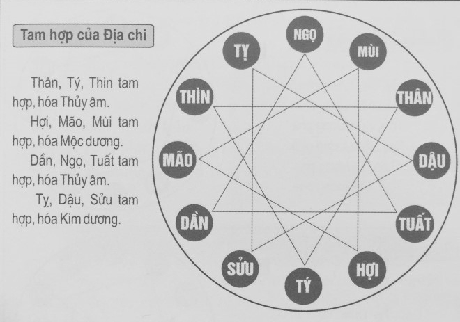 Dựa vào tam hợp trong trong địa chi để biết tuổi của con và bố mẹ có hợp nhau không.