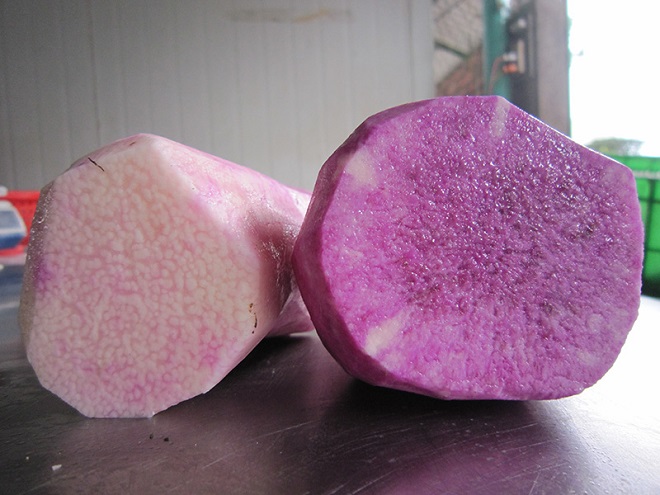 củ khoai mỡ
