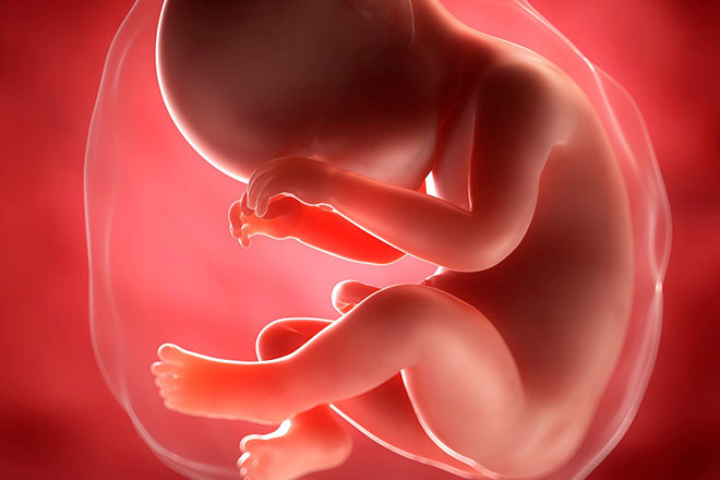 Bé chuẩn bị chào đời