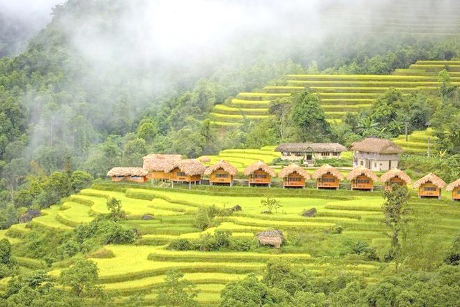 Homestay ở Hoàng Su Phì