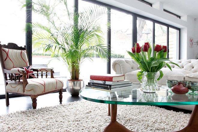 cây cảnh lọc không khí