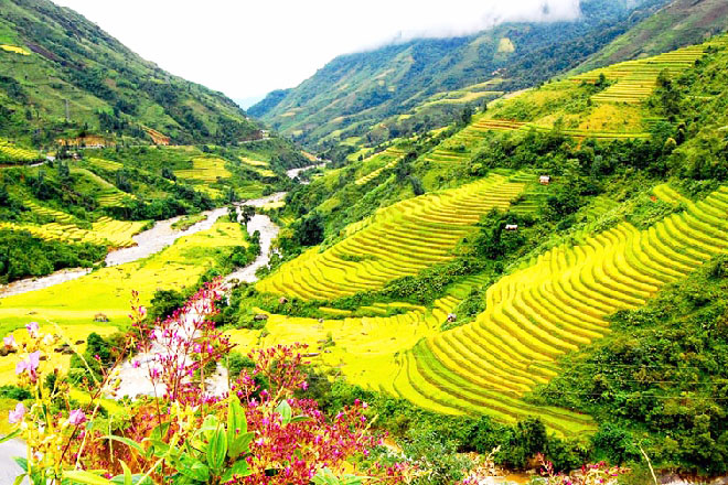 Thung lũng Mường Hoa