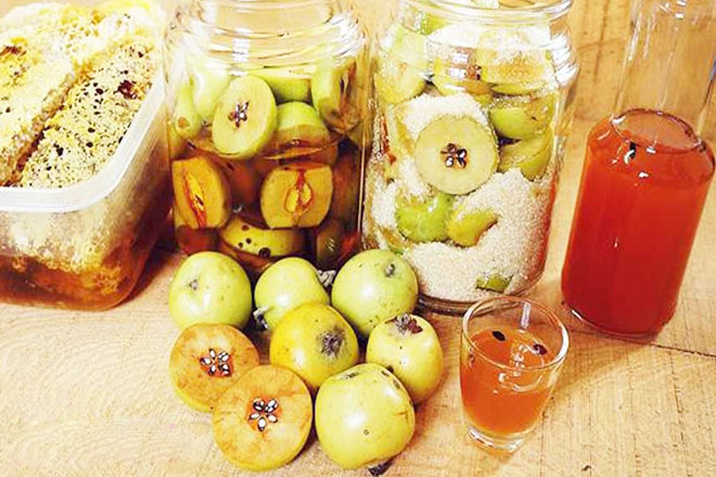 Rượu táo mèo