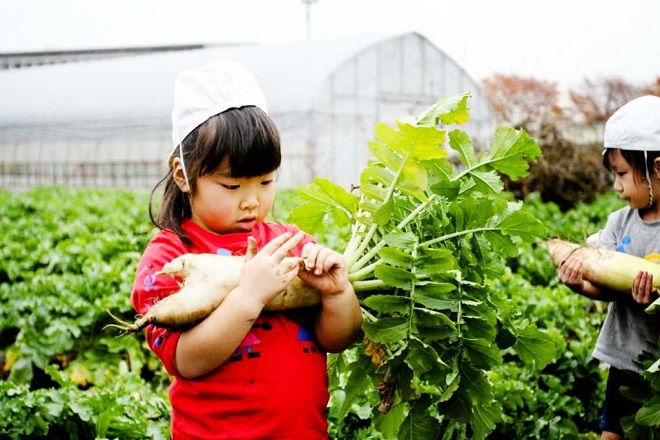trẻ đi ngoại khóa