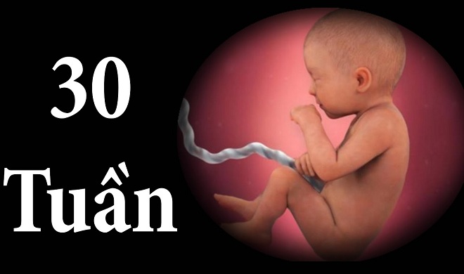 thai nhi 30 tuan tuoi