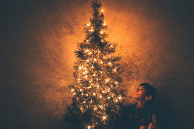 Cây thông Noel