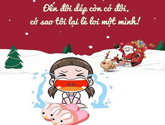stt noel co don