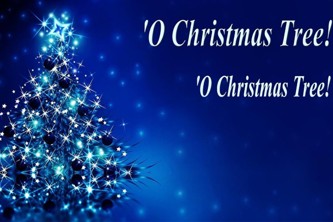 Cây thông Noel