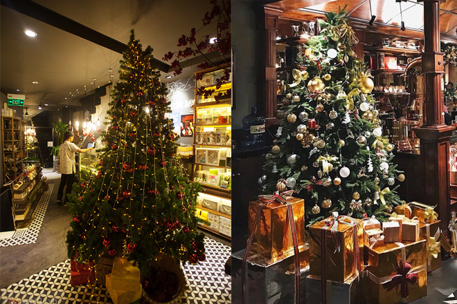 Cây thông Noel quán cà phê