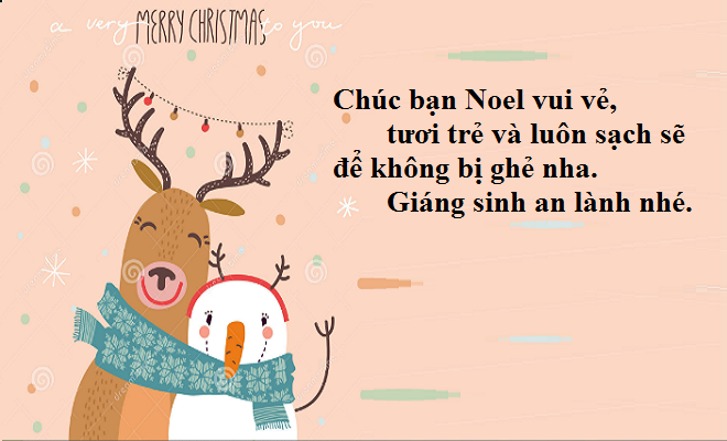 stt noel