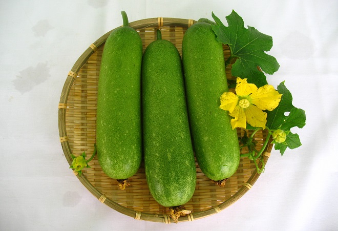 bí đao giảm cân