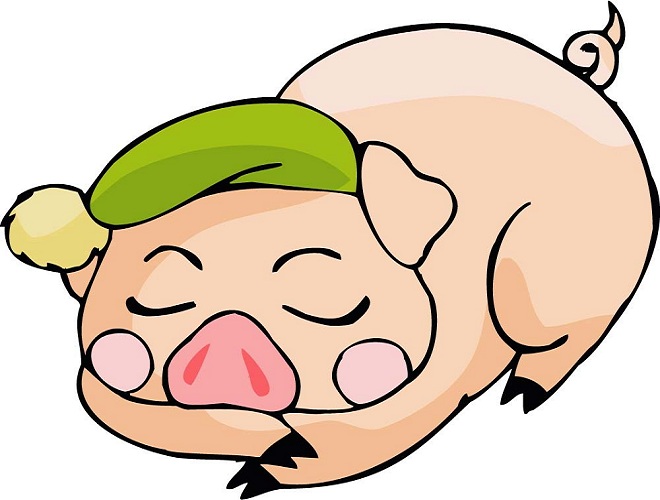 tuoi hoi