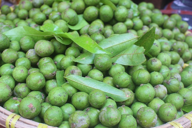 quả sấu xanh