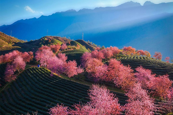 Du lịch Tết 2020 Sapa