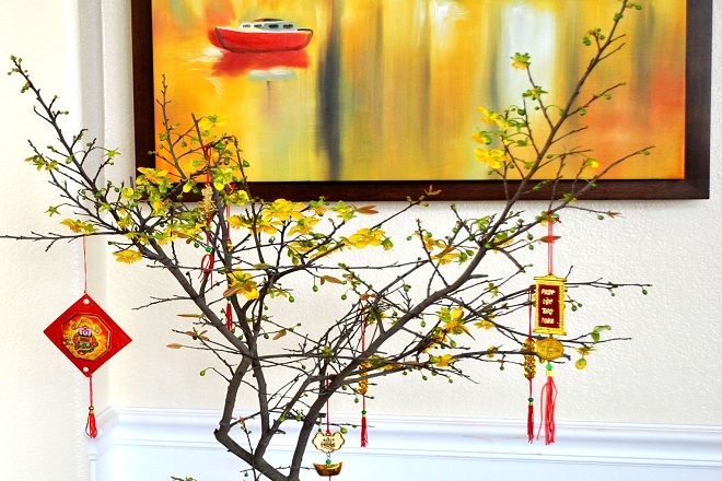 trang trí cây mai đẹp