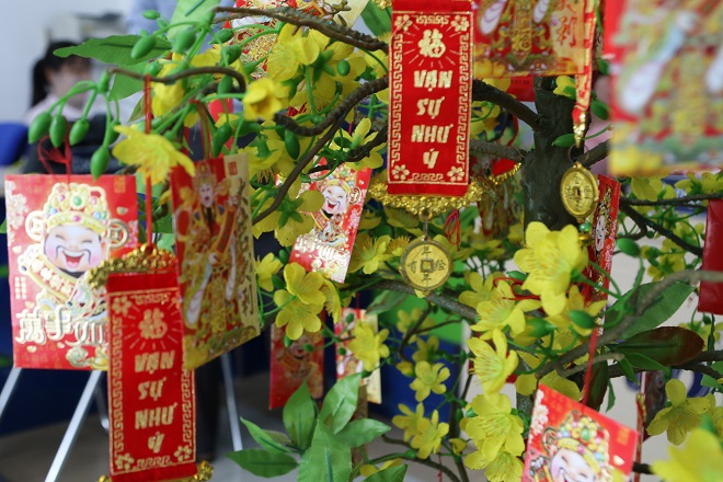 trang trí cây mai mang tài lộc