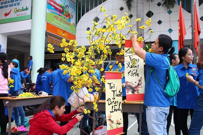 trang trí cây mai ngày tết