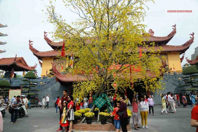 việt nam quốc tự