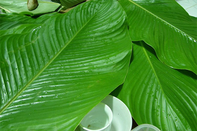 cách gói bánh chưng bằng khuôn