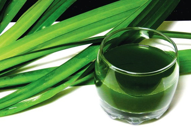 tạo màu từ lá dứa